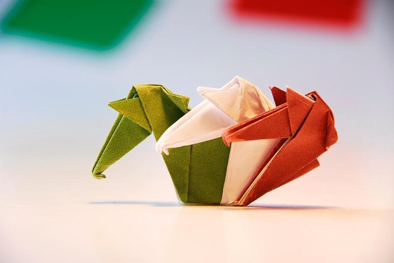 Cavalli tricolore Bruna Pallante