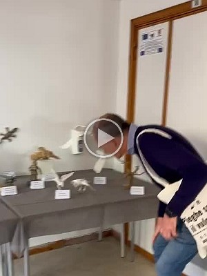 VID-20240317-WA0015_ratated